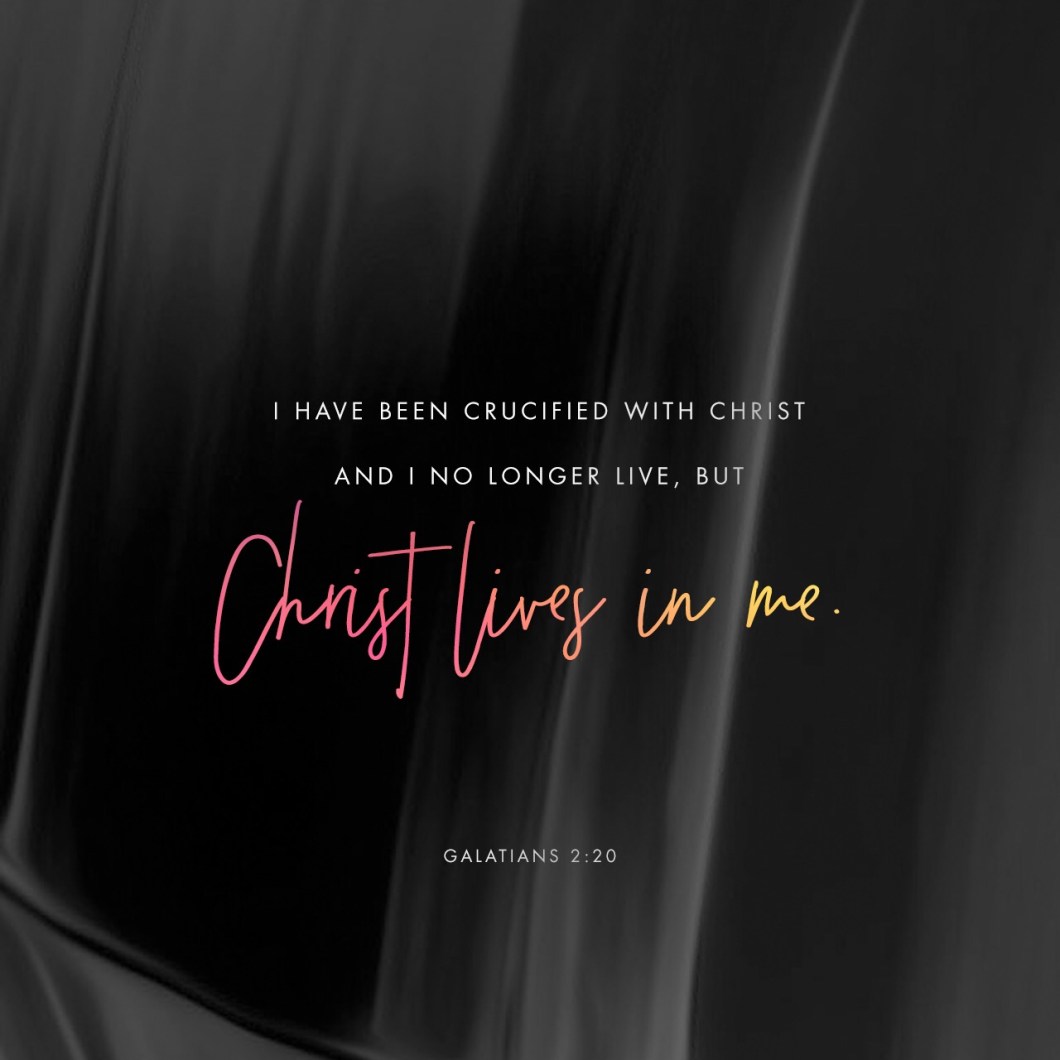 FA9404E1-1477-4AC6-8E83-F41715C7F2B1